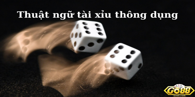 Thuật ngữ tài xỉu thông dụng tại Go88